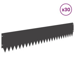 Bordure de Pelouse 30 pcs 103 x 20 cm Acier Noir 640412640412