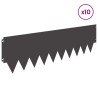 Bordure de Pelouse 10 pcs 103 x 30 cm métal Noir 640431640431
