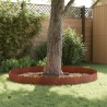 Bordure de Pelouse 10 pcs 103 x 25 cm Acier Rouillé 640435640435