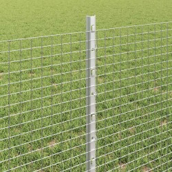Clôture en fil soudé avec poteaux 25 x 0,6 m Acier galvanisé 640749640749