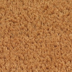 Tapis de porte 2 pcs naturel 40x60 cm fibre de coco touffeté 640761640761