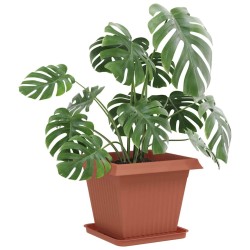 Plateau carré à fleurs 24 pcs Rouge brique 32 x 32 x 2,5 cm 640768640768