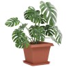 Plateau carré à fleurs 24 pcs Rouge brique 36 x 36 x 2.5 cm 640806640806