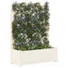Grand bac avec treille Blanc 99,5 x 43 x 133,5 cm PP 640814640814