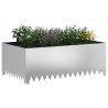 Bordure de Pelouse 4 pcs 100 x 60 x 35 cm Acier Argenté 640852640852