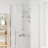 Ensemble de Système de Douche Chrome 100 cm Acier inoxydable 640861640861