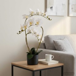 Plante orchidée artificielle avec pot Blanc 45 x 15 x 65 cm 641050641050