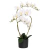 Plante orchidée artificielle avec pot Blanc 45 x 15 x 65 cm 641050641050
