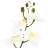 Plante orchidée artificielle avec pot Blanc 45 x 15 x 65 cm 641050641050