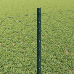 Clôture hexagonale avec poteau 10 x 0,8 m Vert Maille 641084641084
