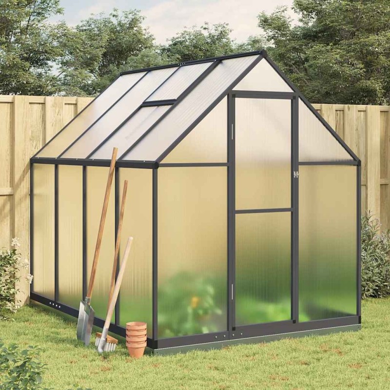 Serre avec cadre de base anthracite 224x169x202 cm aluminium 641094641094