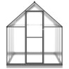 Serre avec cadre de base anthracite 224x169x202 cm aluminium 641094641094