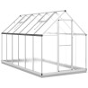 Serre avec cadre de base argenté 334x169x202 cm aluminium 641174641174