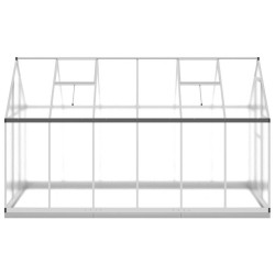 Serre avec cadre de base argenté 334x169x202 cm aluminium 641174641174