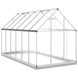Serre avec cadre de base argenté 334x169x202 cm aluminium 641174641174