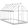 Serre avec cadre de base argenté 334x169x202 cm aluminium 641174641174