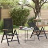Chaises de jardin inclinables 2 pcs Noir 58 x 73 x 111,5 cm 641272641272