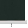 Store roulant d'extérieur 65 (l) x 140 (H) cm HDPE vert foncé 641290641290