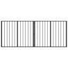 Porte pour chien 2 pcs Noir 100 x 80 cm Acier galvanisé 641308641308