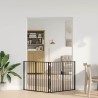 Porte pour chien 2 pcs Noir 100 x 80 cm Acier galvanisé 641308641308