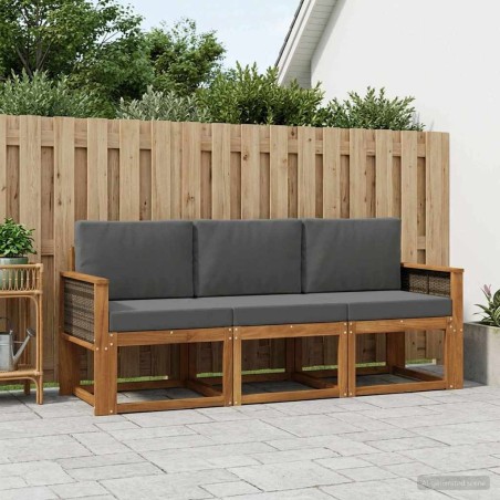 Ensemble de canapés d'extérieur 3 pcs Naturel et Anthracite 641348641348