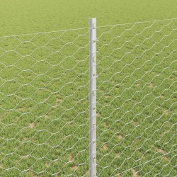 Clôture hexagonale avec poteau 25 x 1,4 m Acier galvanisé 641440641440