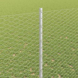 Clôture hexagonale avec poteau 25 x 1,4 m Acier galvanisé 641442641442