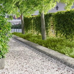 Bordure de Pelouse 10 pcs 103 x 30 cm Acier Argenté 641453641453