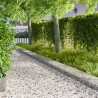 Bordure de Pelouse 10 pcs 103 x 30 cm Acier Argenté 641453641453