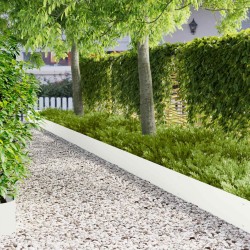 Bordure de Pelouse 10 pcs 103 x 25 cm Acier Blanc 641456641456