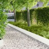 Bordure de Pelouse 10 pcs 103 x 25 cm Acier Blanc 641456641456