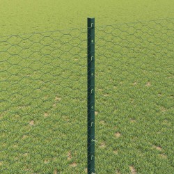 Clôture hexagonale extérieure avec poteau 10 x 1,4 m Vert 641483641483
