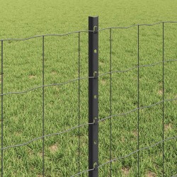 Clôture Euro avec poteau 50 x 0,6 m Acier recouvert de PVC Gris 641494641494