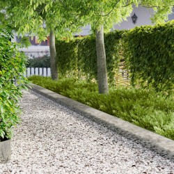 Bordure de Pelouse 10 pcs 103 x 25 cm Acier Argenté 641543641543