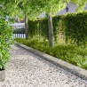 Bordure de Pelouse 10 pcs 103 x 25 cm Acier Argenté 641543641543