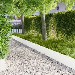 Bordure de Pelouse 10 pcs 103 x 30 cm Acier Blanc 641600641600