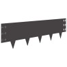 Bordure de Pelouse 10 pcs 100 x 30 cm Acier Noir 641763641763