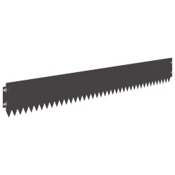 Bordure de Pelouse 30 pcs 103 x 15 cm Acier Noir 641812641812
