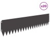 Bordure de Pelouse 20 pcs 103 x 25 cm Acier Noir 641823641823