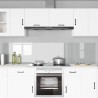 Crédence de cuisine 2 pcs Transparent 110 x 50 cm verre trempé 641852641852