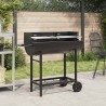 Grill charbon 96,5 x 42,5 x 88,5 cm Noir 641912641912