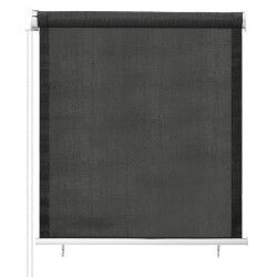 Store roulant d'extérieur 65 (l) x 140 (H) cm anthracite 642314642314