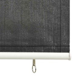 Store roulant d'extérieur 65 (l) x 140 (H) cm anthracite 642314642314