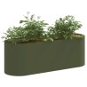 Jardin surélevé Vert olive 120 x 40 x 40 cm 642332642332