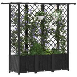Lit Élevé avec Treillis et Toit Noir 163,5 x 40 x 136 cm PP 642507642507
