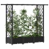 Lit Élevé avec Treillis et Toit Noir 164 x 40 x 121 cm PP 642629642629
