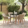 Ensemble de salle à manger pour jardin 5 pcs Beige polyrotin 642666642666