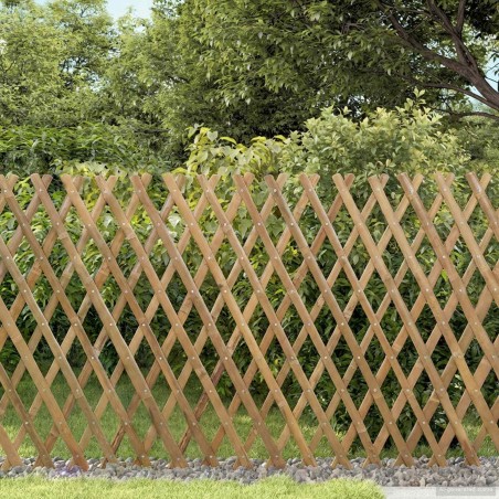 Trellis extensible pour clôture 2 pcs Marron Clair 100 x 105 cm 642667642667