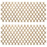 Trellis extensible pour clôture 2 pcs Marron Clair 100 x 105 cm 642667642667
