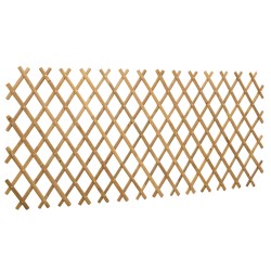 Trellis extensible pour clôture 2 pcs Marron Clair 100 x 105 cm 642667642667